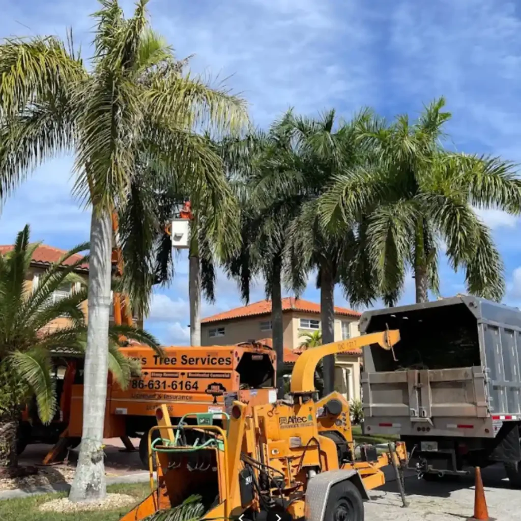 jardineros para poda de arboles en miami florida