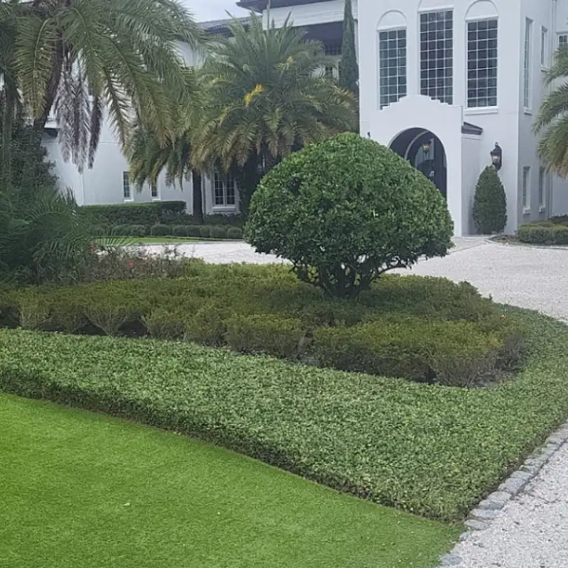 residential landscaping orlando, fl