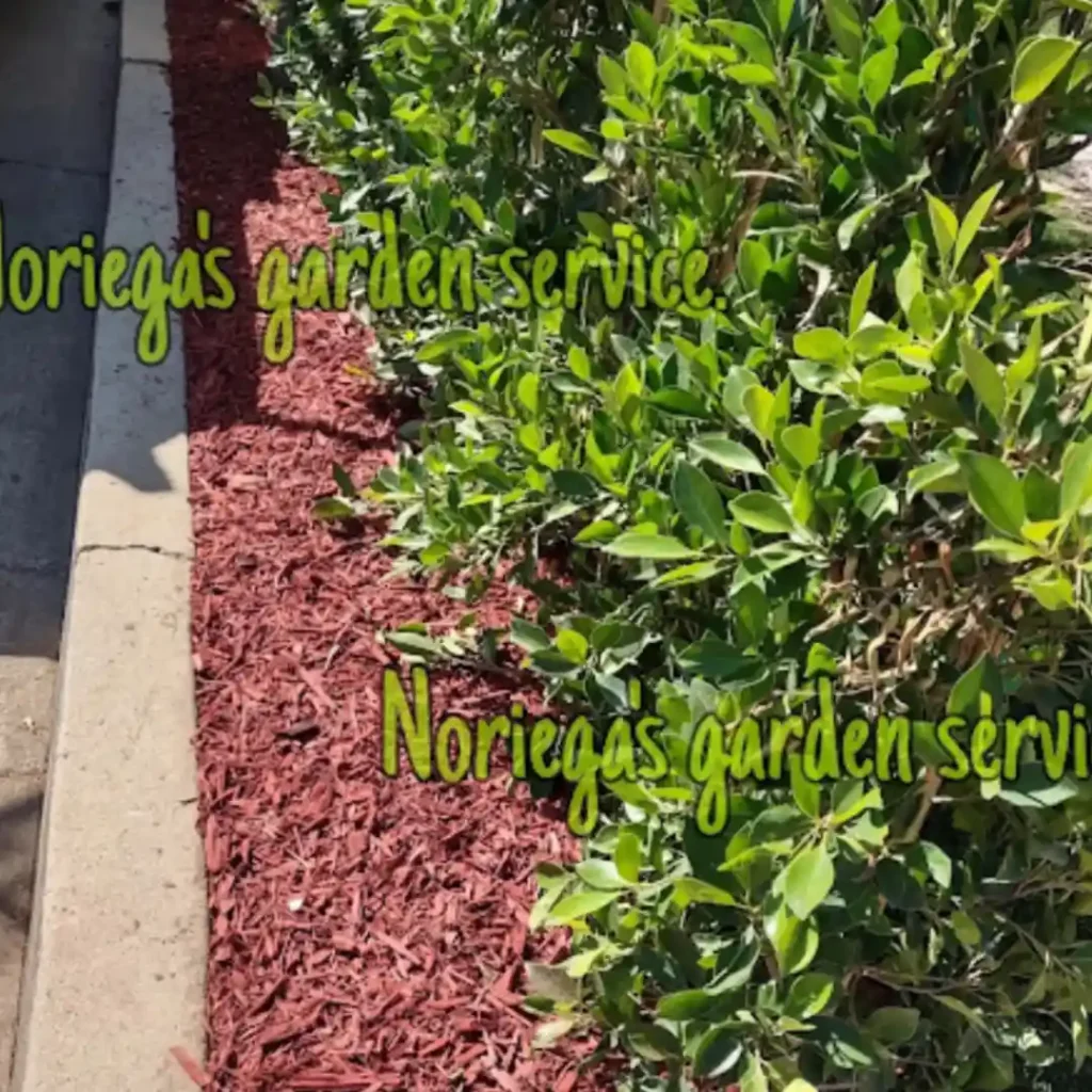 servicios de mantenimiento de jardines en los angeles landscaping cerca de mí