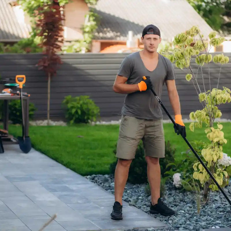 Jardín zen con piedras decorativas y plantas suculentas, creando un espacio de paz y tranquilidad.