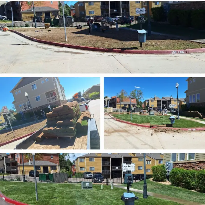 Limpieza y Mantenimiento de Jardines en Denver con Phils Yard Clean Up LLC