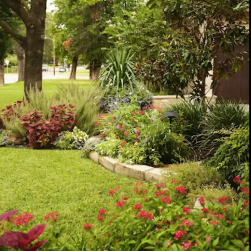 Servicio de Paisajismo y Jardinería en Dallas Tree services dallas