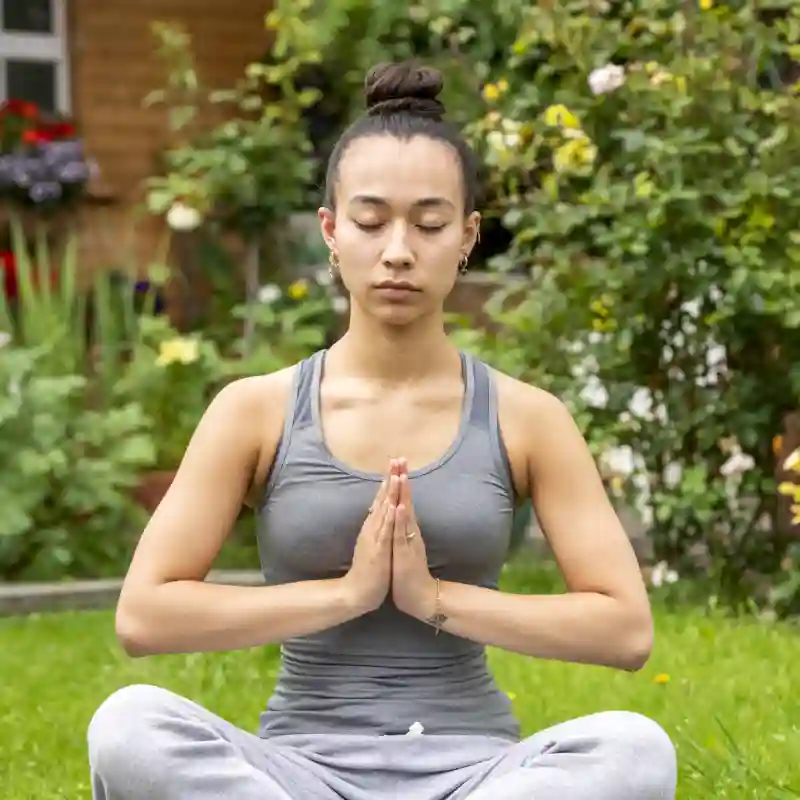 Jardín zen con musgo y plantas