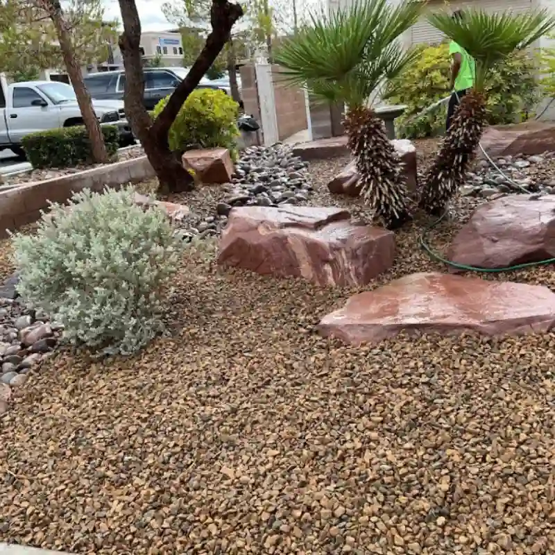 Las Vegas Nevada Landscaping: Servicios Profesionales de Paisajismo en Las Vegas, Nevada