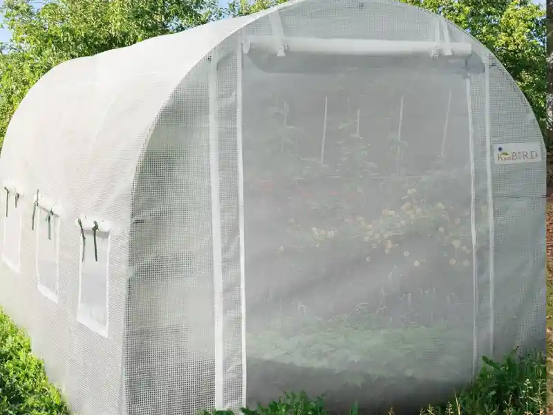 Invernadero de tunel grande King Bird: Tu Aliado Ideal para Jardinería