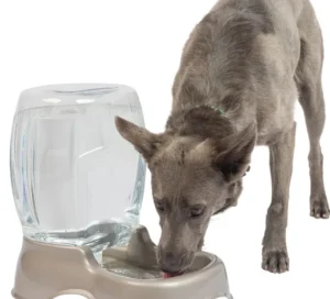 Dispensador de Agua Para Gatos y Perros, 3 Galones 