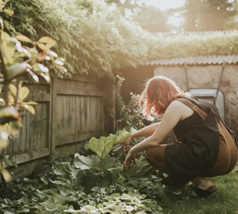 La Ciencia Detrás de los Jardines y la Salud Mental